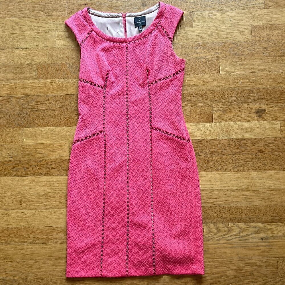 Adrianna Pappel Coral Cap Sleeve Sheath Dress Size 4